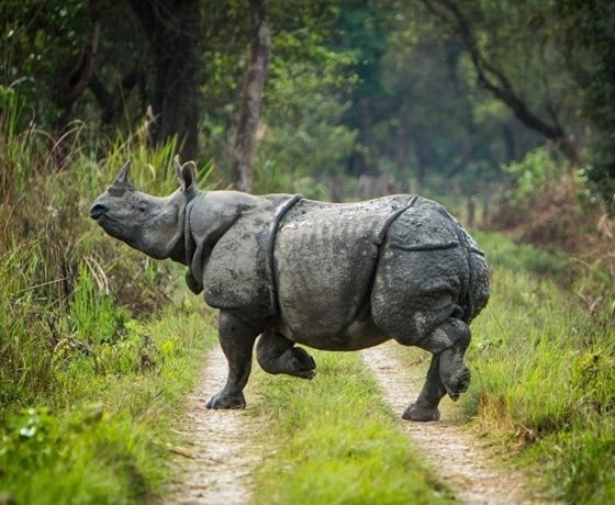 Madhya Pradesh